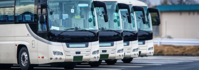25692956_s