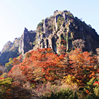 大分日帰り旅行の画像