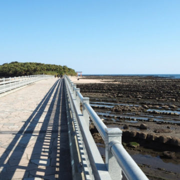 宮崎市内・送迎・日帰りの画像