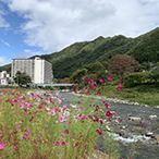 群馬県内送迎1日間