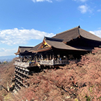 京都市内・日帰りの画像