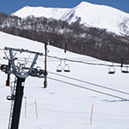 札幌・ニセコ｜スキー・スノボの画像